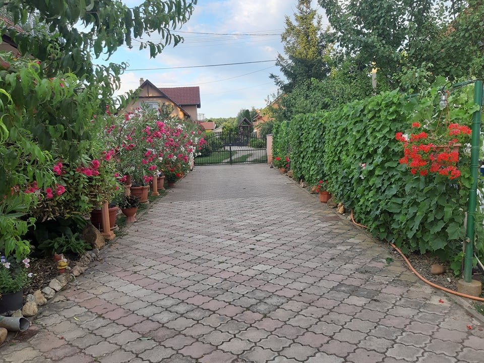 Papp Magdolna kertej 01